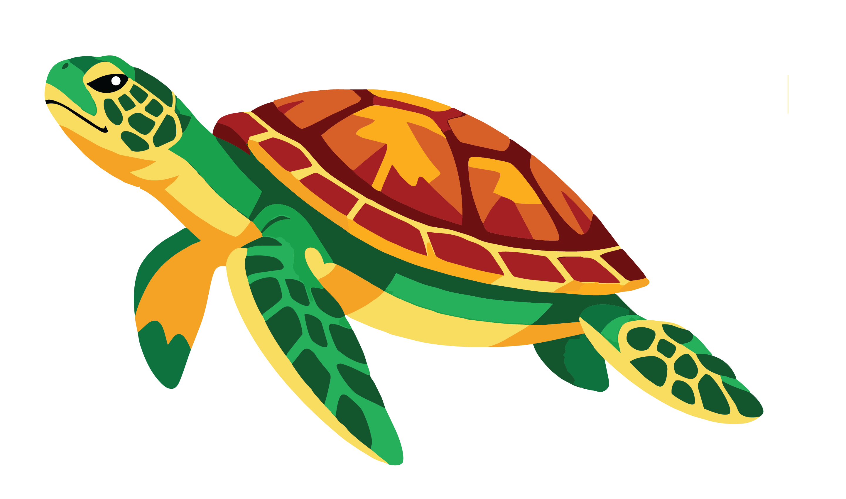 Mauritius turtle illustration