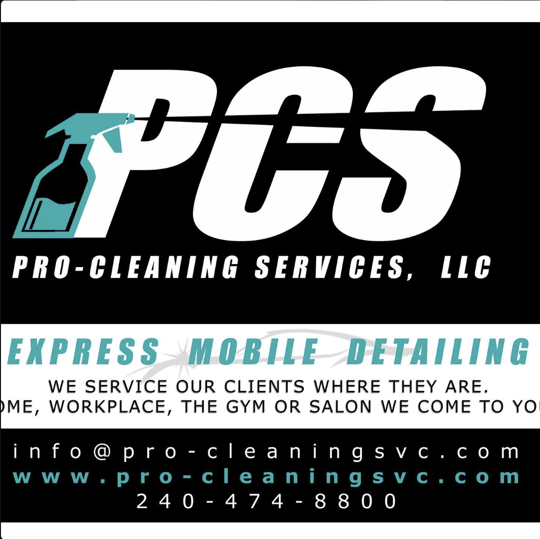 Previous Pro Cleaning Services logo and advertising